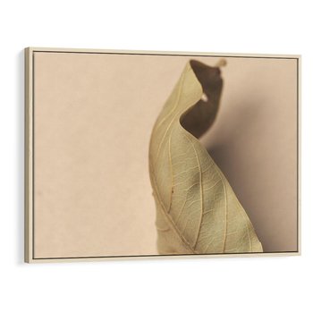 Obraz w ramie 120x80 - Boho suszone liście - suszony, liść - rama drewno