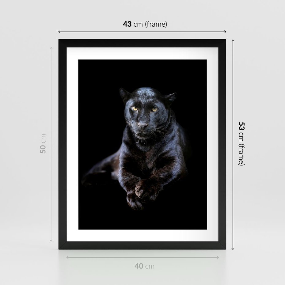 Plakat w ramie 40x50 - Czarna pantera: majestat i siła - czarna, pantera - rama czarna