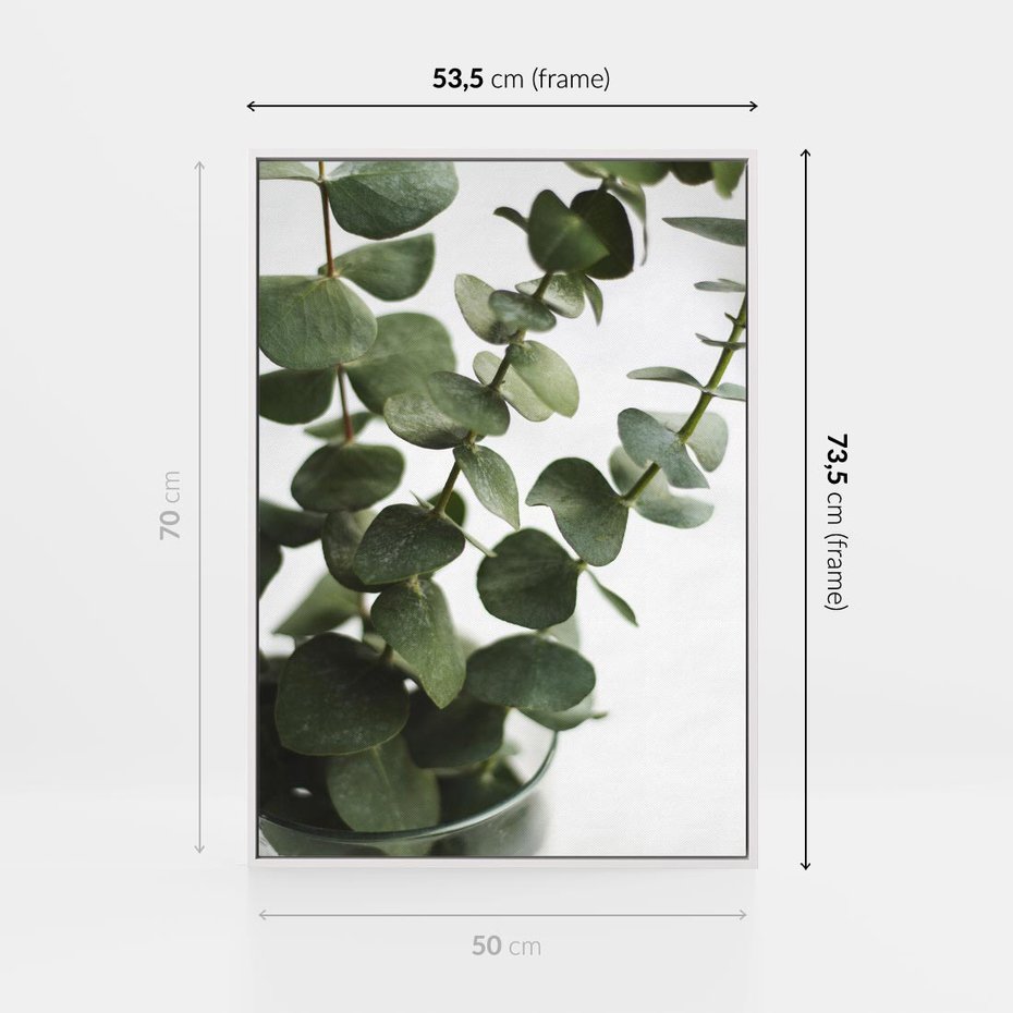 Obraz w ramie 50x70 - Zielone eukaliptusy - eukaliptus, liście - rama biała