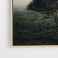 Obraz w ramie 50x50 - Zamglona Prostota - artystyczna fotografia, samotne drzewo na zamglonej łące - rama drewno