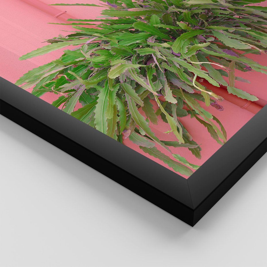 Zestaw obrazy w ramie 30x40 galeria - Liście, kaktusy, rośliny, pastele, retro - rama czarna