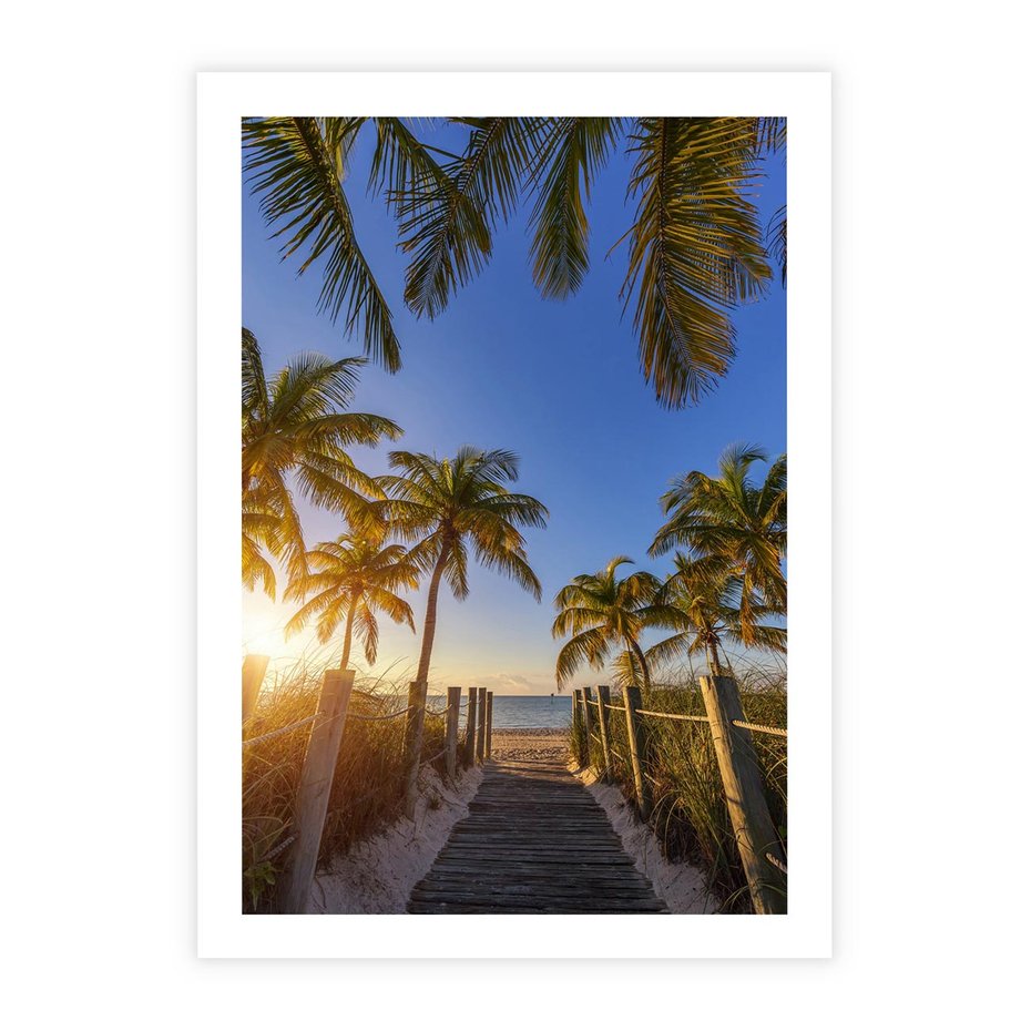 Plakat bez ramy 21x30 - Rajskie palmy w tropikalnym raju - palmy, tropiki