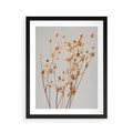 Plakat w ramie 40x50 - Delikatne gipsówki - gipsówka, suche - rama czarna