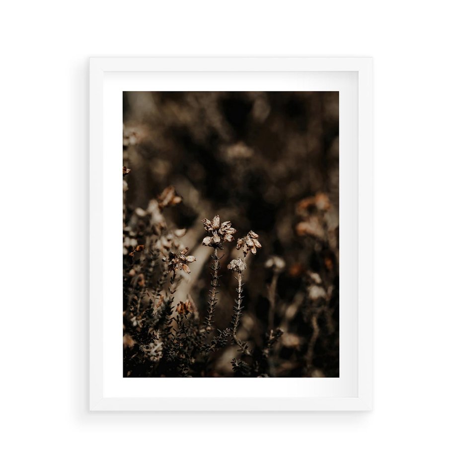 Plakat w ramie 40x50 - Jesienny Urok - suche trawy, jesienny pejzaż - rama biała