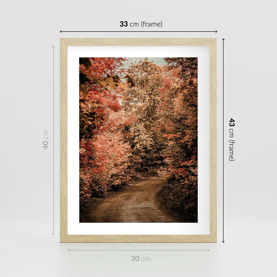 Plakat w ramie 30x40 - Obraz przedstawia jesienne drzewa i czerwone liście na ścieżce w lesie. Ta sceneria doskonale oddaje urok i kolorystykę jesieni w lesie. - las, jesień - rama drewno