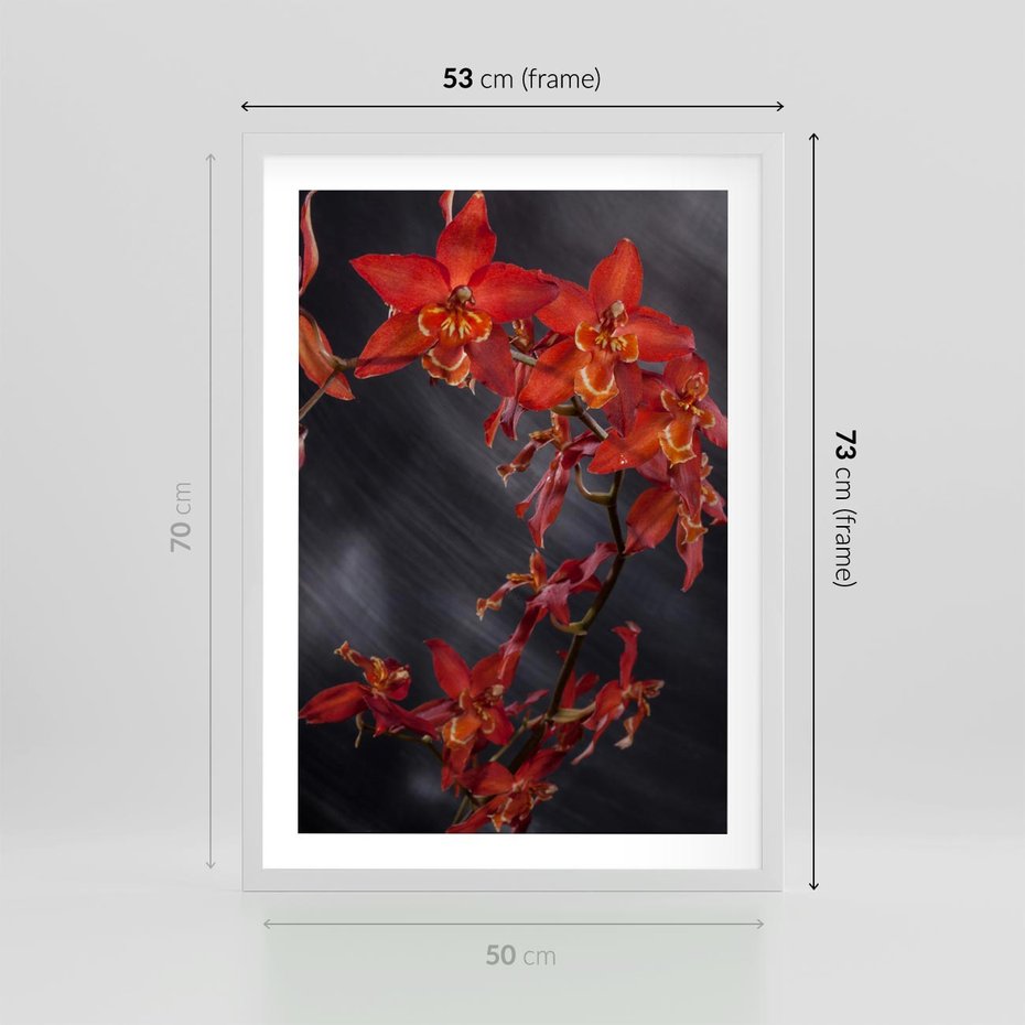 Plakat w ramie 50x70 - Kolorowy Raj - kwiaty, tropikalne - rama biała