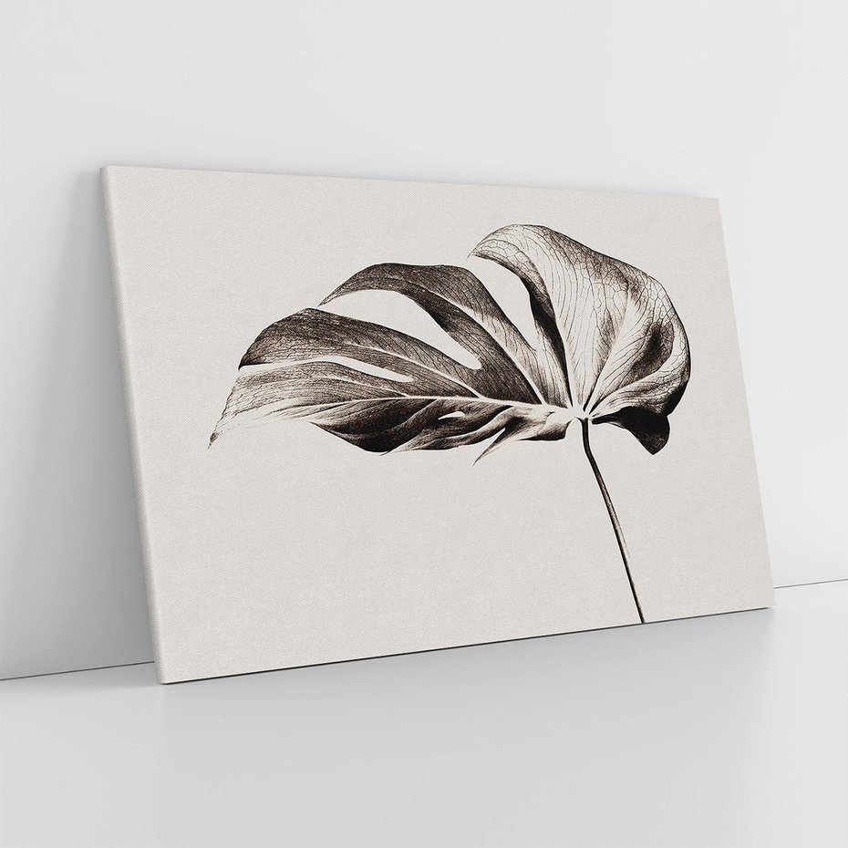 Obraz na płótnie 120x80 - Szapczący Liść - szkic, czarno biały