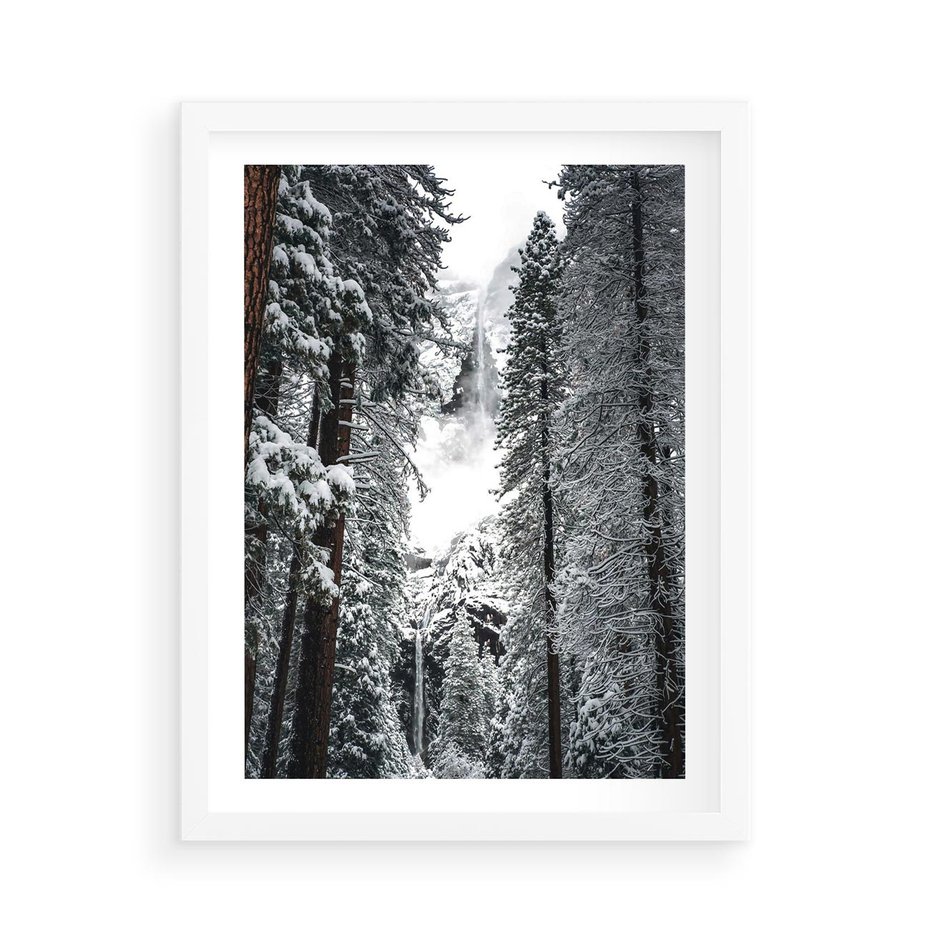 Plakat w ramie 50x70 - Cicha Magia Zimowego Lasu - zimowy las, ośnieżone drzewa - rama biała