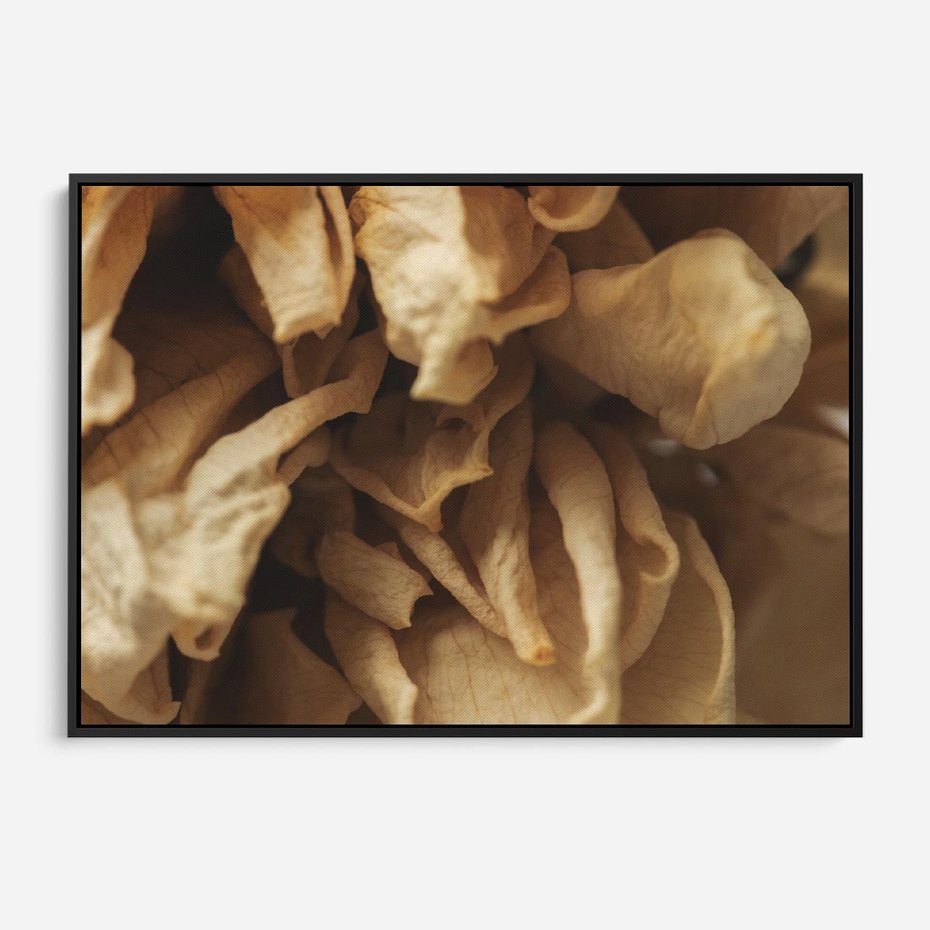 Obraz w ramie 100x70 - Zjawiskowe zasuszone kwiaty - zasuszone, kwiaty - rama czarna