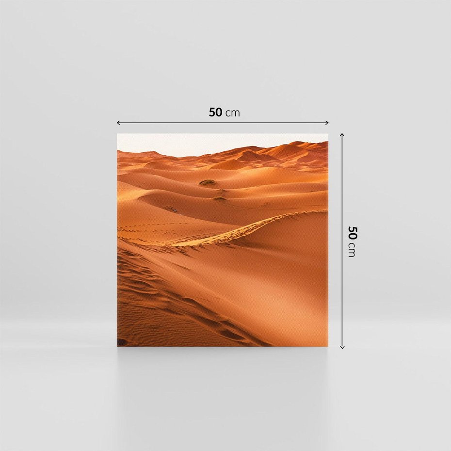 Obraz na płótnie 50x50 - Pustynny krajobraz - pustynia