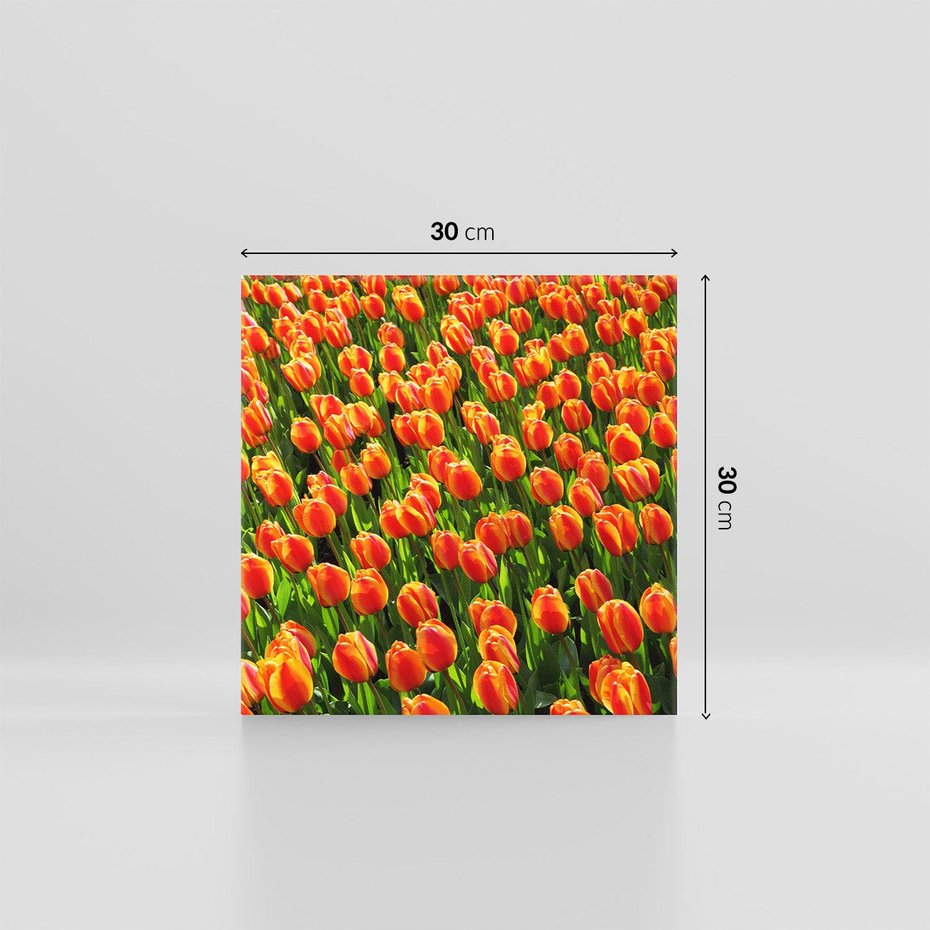 Obraz na płótnie 30x30 - Tulipanowa eksplozja - tulipany, kwiaty