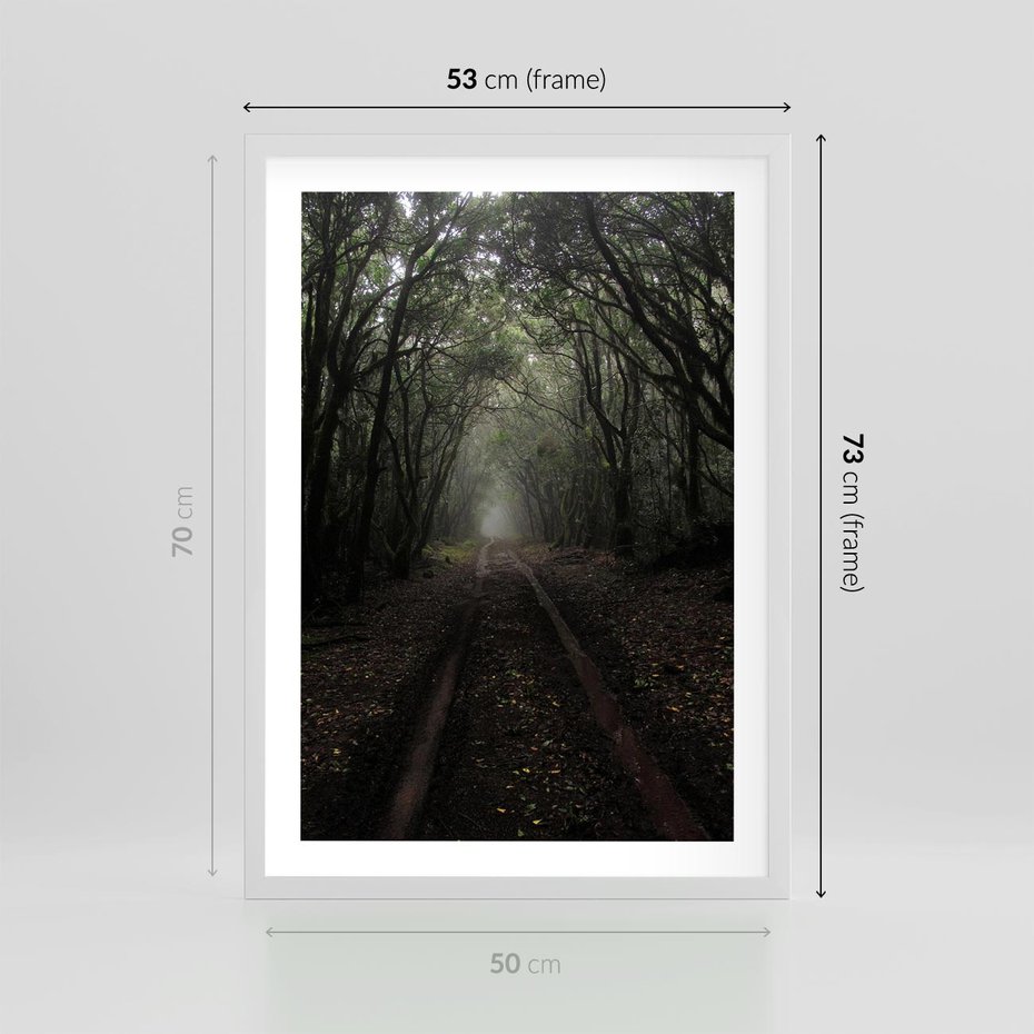 Plakat w ramie 50x70 - Urok Drogi - las, droga - rama biała