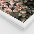 Zestaw obrazy w ramie 50x70 galeria - Rośliny, liście, kaktusy - rama biała