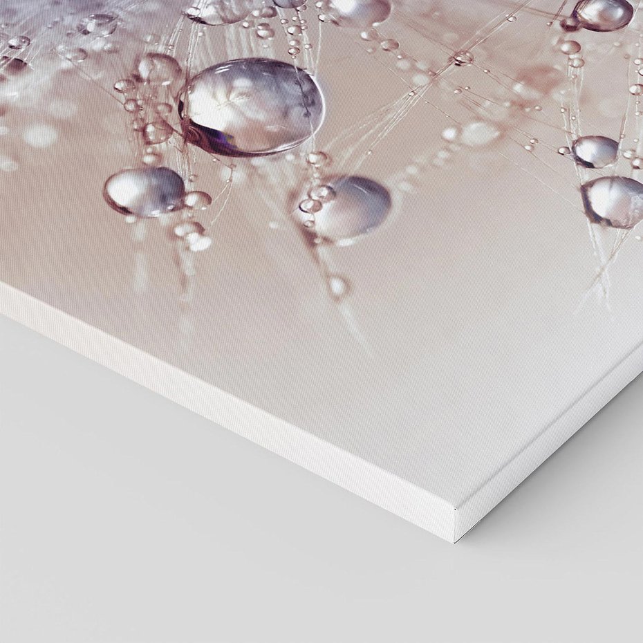 Obraz na płótnie 70x70 - Delikatne Natchnienie - krople, dmuchawce