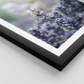 Plakat w ramie 40x50 - Delikatna Uroda Natury - wrzosy, fiolet - rama czarna