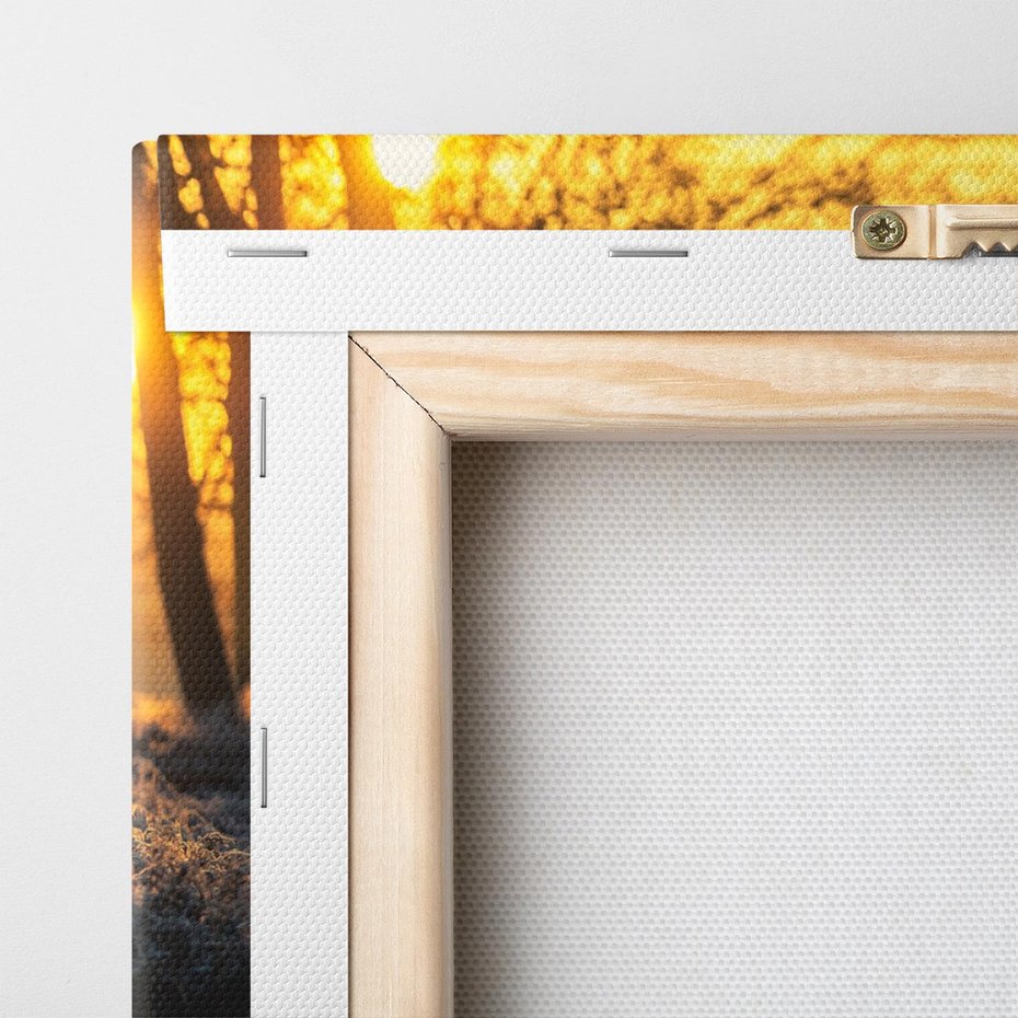 Obraz na płótnie 40x40 - Jesienne Spotkanie w Lesie - jeleń, jesień