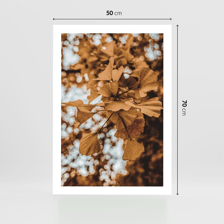 Plakat bez ramy 50x70 - Nostalgiczny Miłorząb - miłorząb, liście