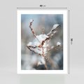 Plakat bez ramy 40x50 - Zimowy Urok Natury - gałązki pod śniegiem, natura
