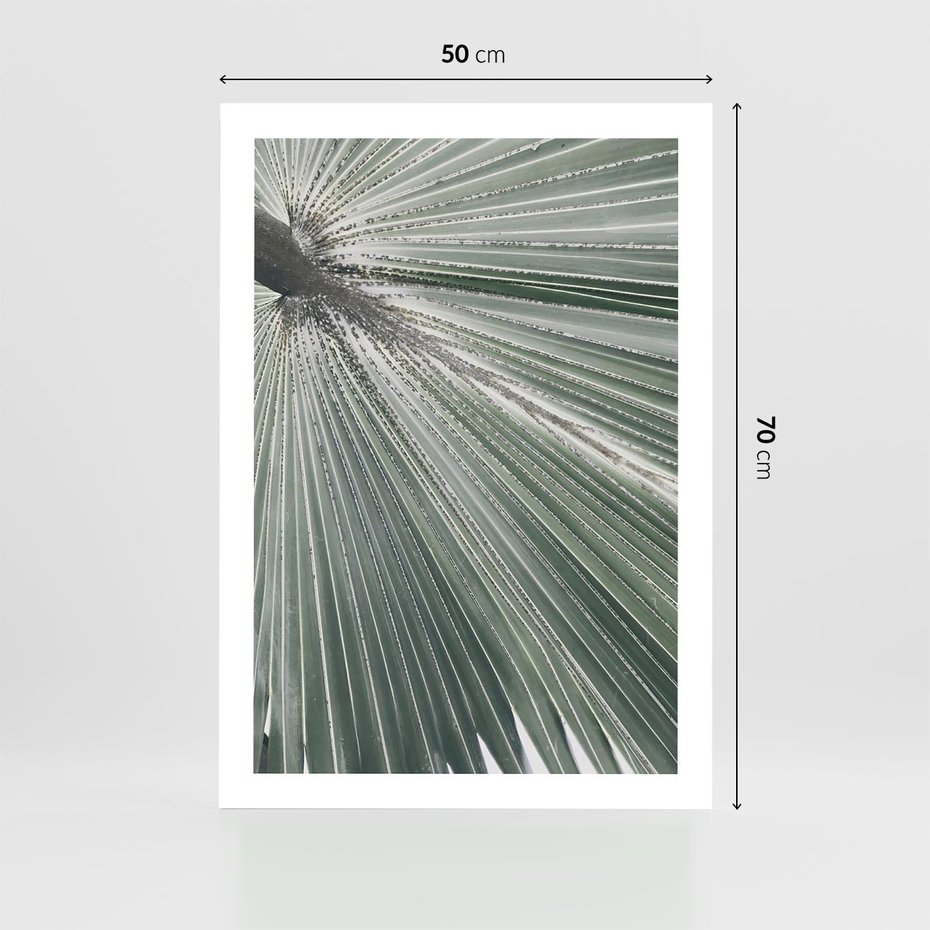 Plakat bez ramy 50x70 - Jasnozielony Świat - palma, liść