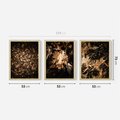 Zestaw obrazy w ramie 50x70 galeria - Suche, jesienne, liście, las - rama drewno