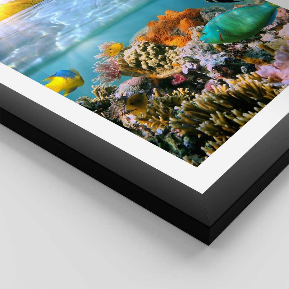 Plakat w ramie 40x50 - Rafa Koralowa - Podwodne Cuda - rafa, koralowa - rama czarna