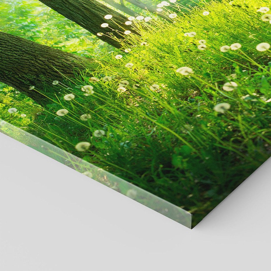 Obraz na płótnie 120x80 - Urok natury - magiczny las na płótnie - las, trawa