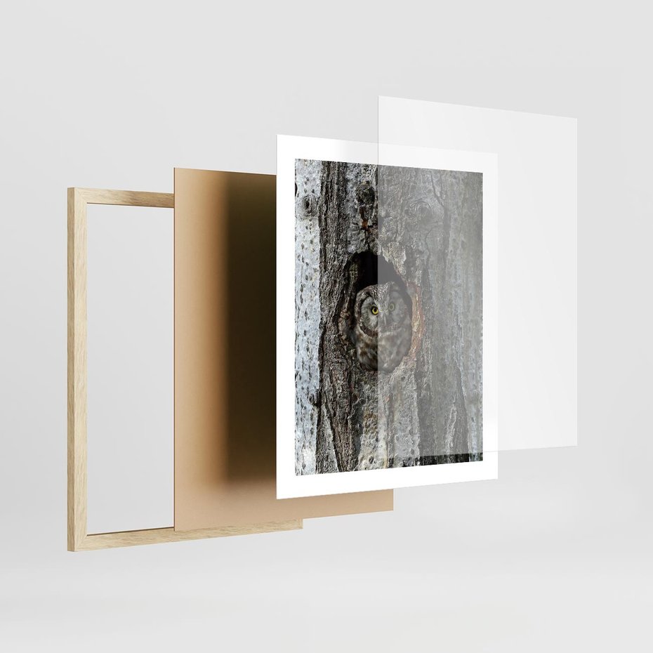Plakat w ramie 40x50 - Tajemniczy W świecie Nocy - sowa, dziupla - rama drewno