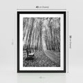 Plakat w ramie 40x50 - Spadające Liście - czarno białe zdjecie, park - rama czarna