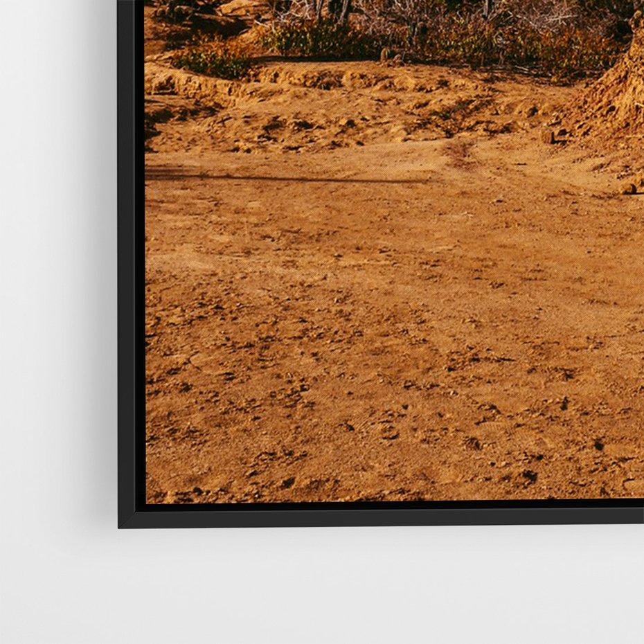 Obraz w ramie 70x100 - Skarby Pustynnego Kanionu - pustynia, kaktusy - rama czarna