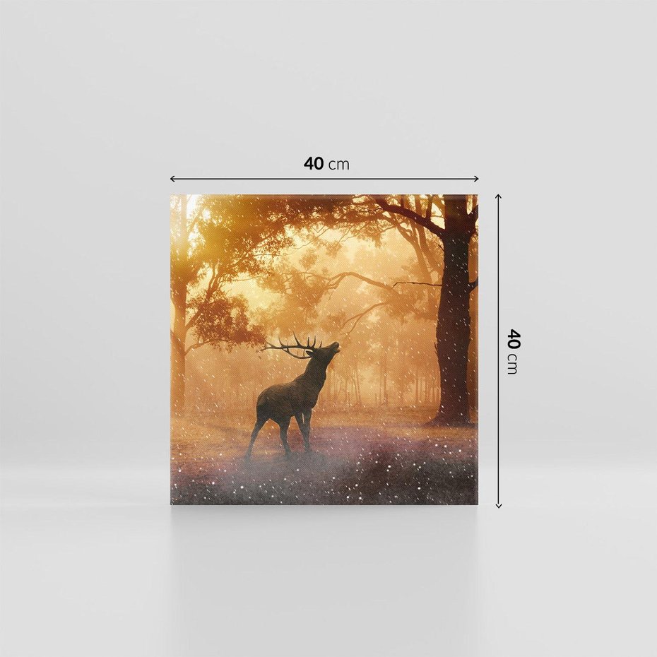 Obraz na płótnie 40x40 - Spotkanie jelena w lesie - jeleń, las