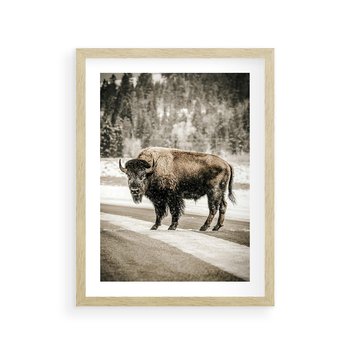 Plakat w ramie 40x50 - Spotkanie z Żubrem na Leśnej Drodze - żubr, las - rama drewno