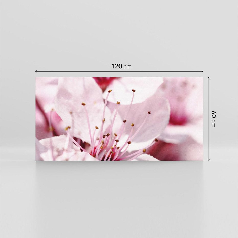 Obraz na płótnie 120x60 - Kwitnąca Wiśnia - kwiaty, kwitnąca