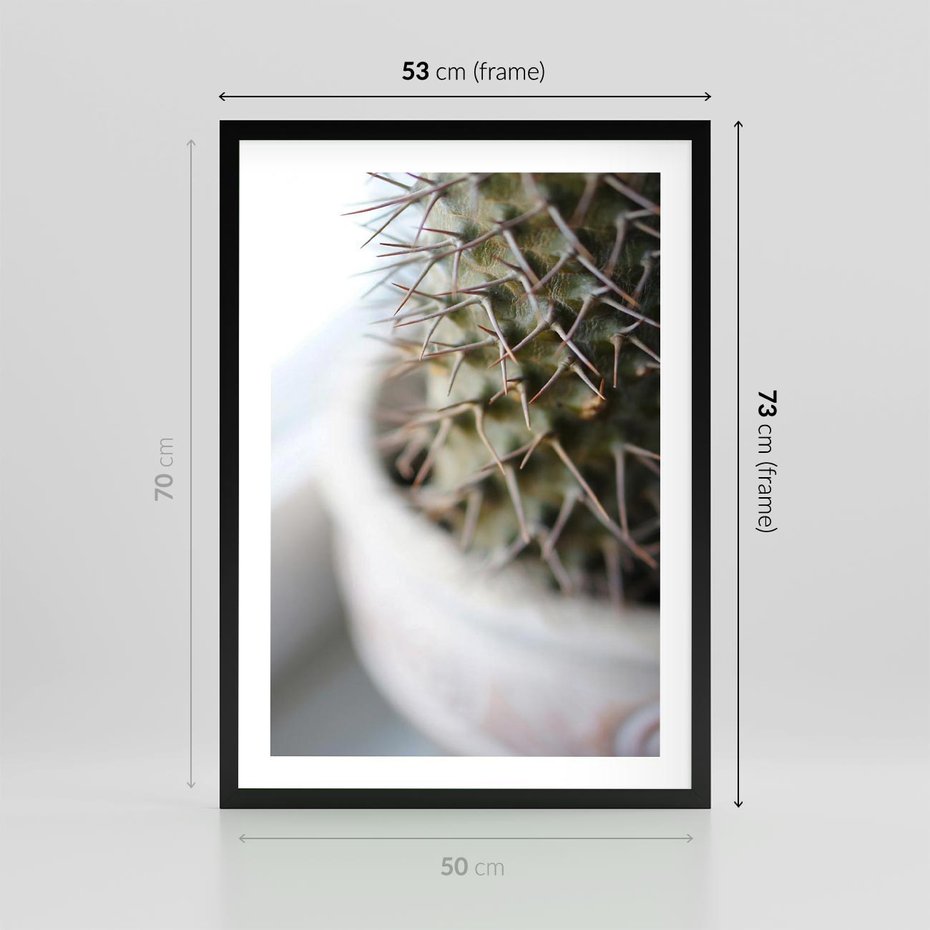 Plakat w ramie 50x70 - Kaktus w Zbliżeniu - kaktus, igły - rama czarna