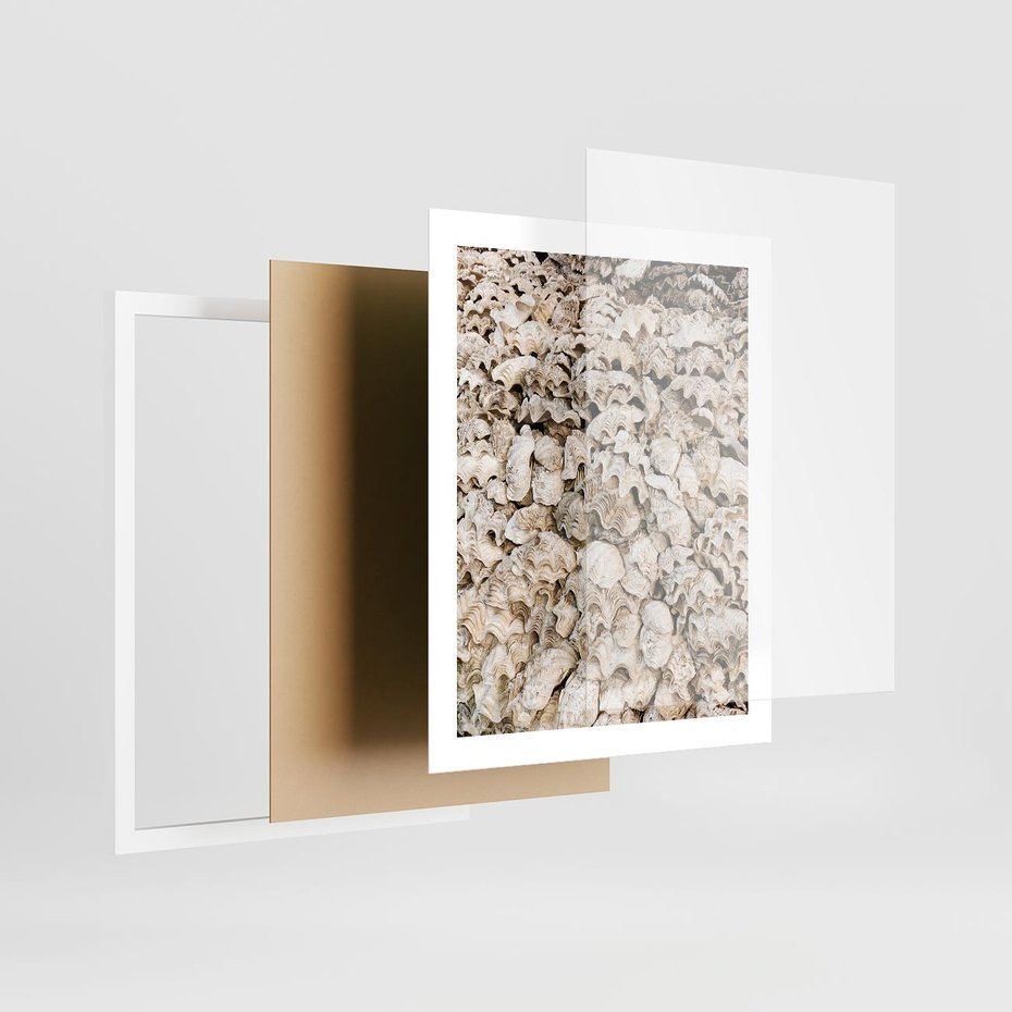 Plakat w ramie 40x50 - Symfonia Natury - kompozycja z białych muszli - rama biała