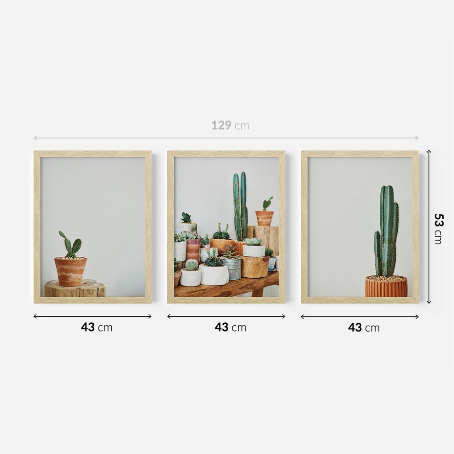 Zestaw obrazy w ramie 40x50 galeria - Kaktusy, w, doniczkach, boho - rama drewno