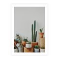 Plakat bez ramy 50x70 - Naturalna Harmonia - kaktusy, liście