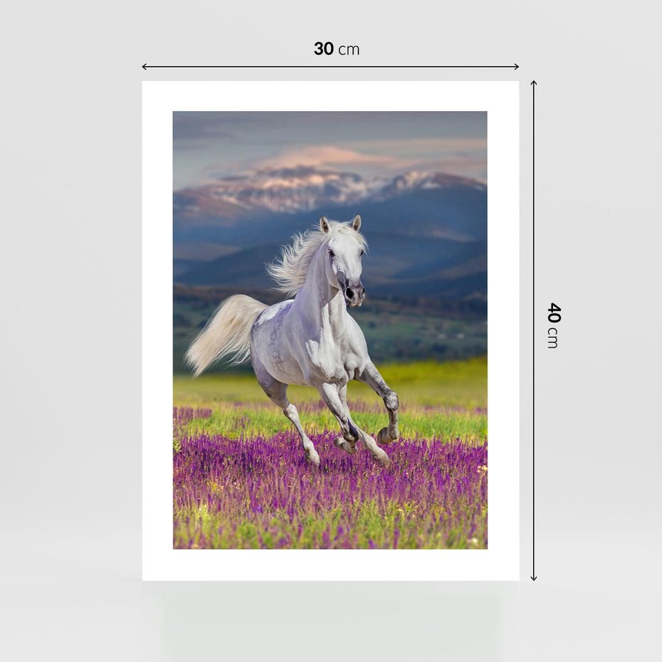 Plakat bez ramy 30x40 - Koń Góry: Spotkanie z Wielką Przyrodą - koń, góry