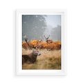 Plakat w ramie 50x70 - Malownicza Harmonia - jelenie, jesień - rama biała