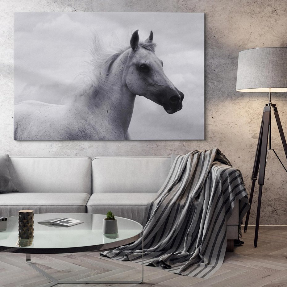 Obraz na płótnie 120x80 - Moc i Wolność - czarno biała fotografia, biały