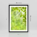 Plakat w ramie 50x70 - Zielone liście natury - liści, zieleń - rama czarna