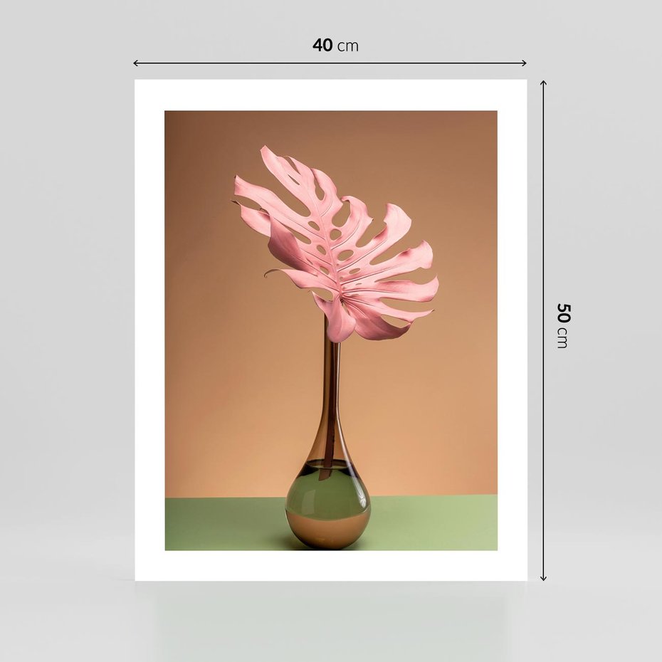 Plakat bez ramy 40x50 - Wyjątkowy monstera - monstera, liść