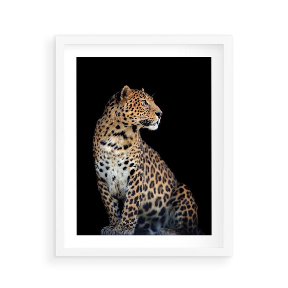 Plakat w ramie 40x50 - Elegancja Jaguarowej Pantery - jaguar, pantera - rama biała