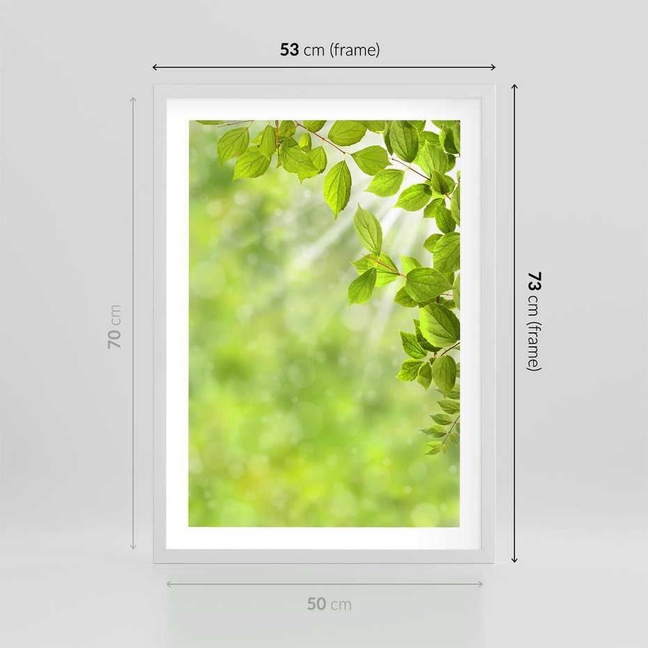 Plakat w ramie 50x70 - Zielone liście natury - liści, zieleń - rama biała