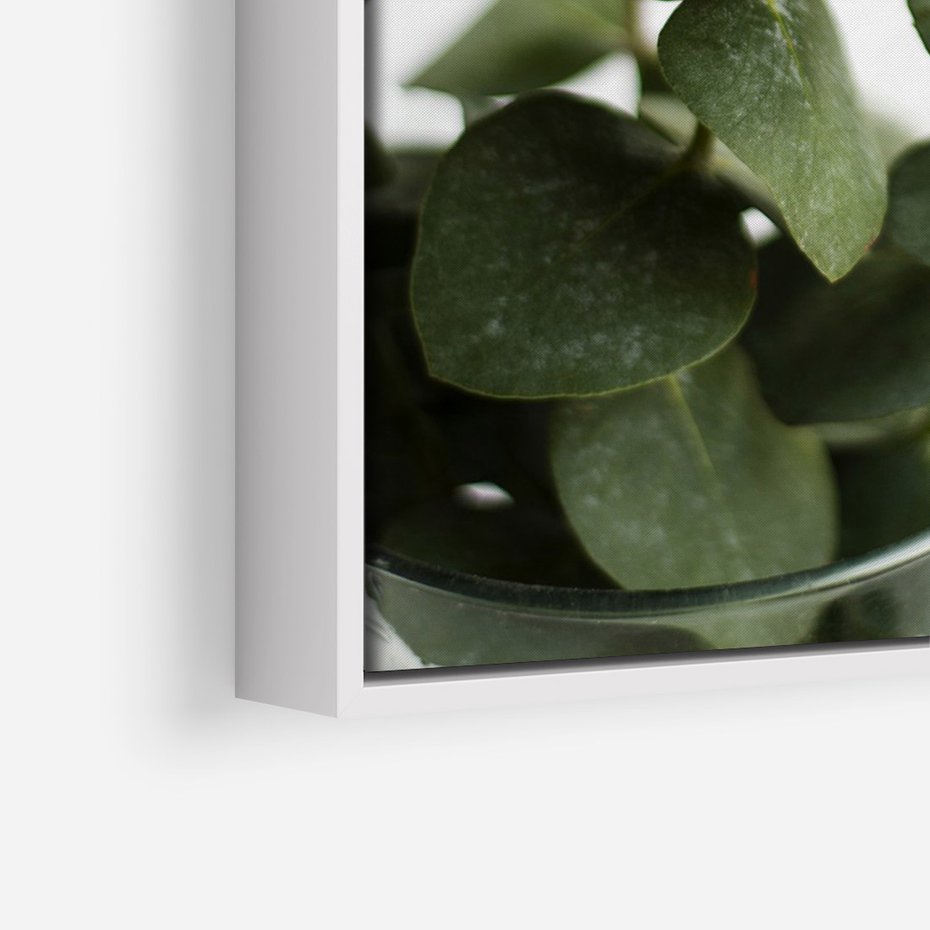 Obraz w ramie 80x120 - Zielone eukaliptusy - eukaliptus, liście - rama biała