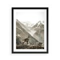 Plakat w ramie 40x50 - Dzikie Piękno: Kozica w Malowniczym Górskim Scenerii - kozica, góry - rama czarna