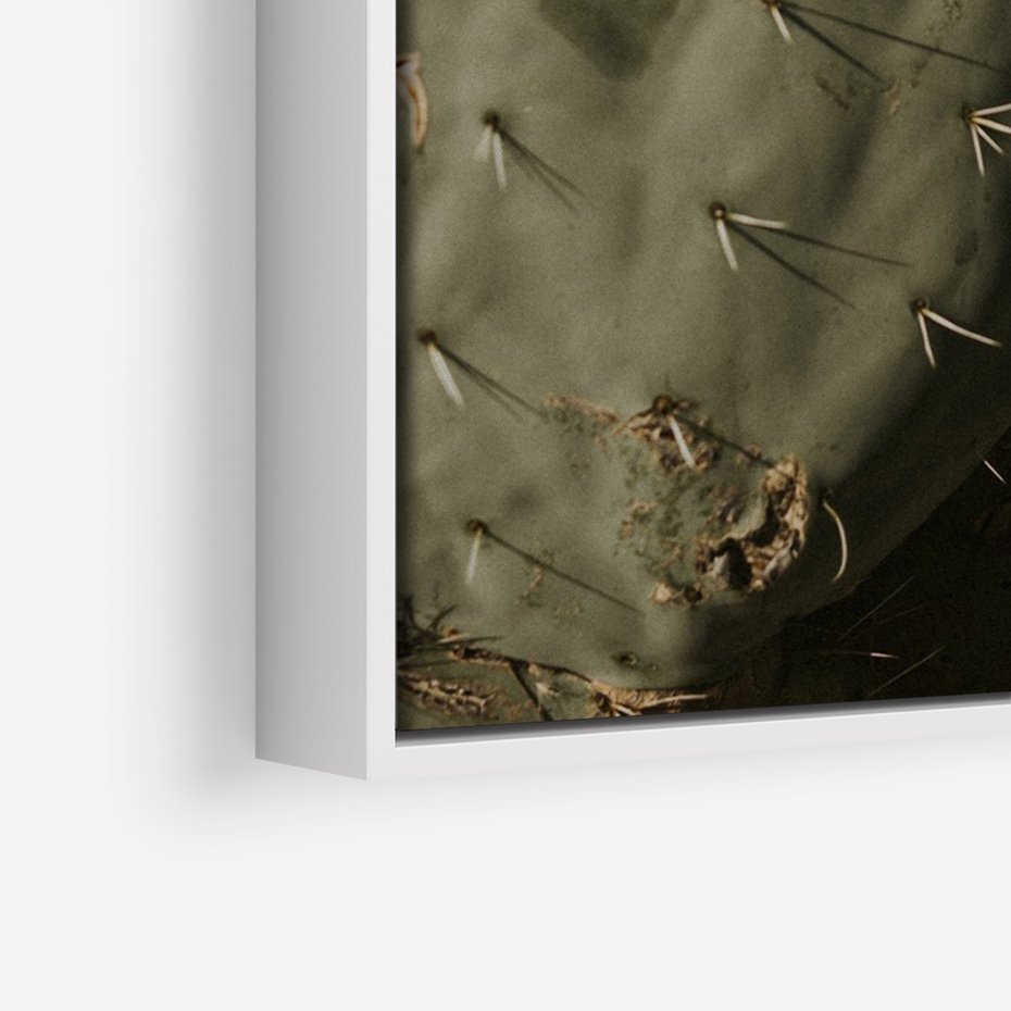 Obraz w ramie 50x70 - Urok Egzotyki - kaktusy, boho - rama biała