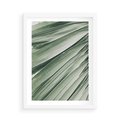 Plakat w ramie 50x70 - Tropikalna Oaza - zielony liść palmy, zieleń - rama biała
