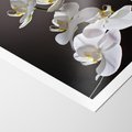 Plakat bez ramy 30x40 - SPA: harmonia z kwiatami - spa, kwiaty