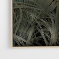 Obraz w ramie 80x120 - Światło w mroku duszy - liście traw, mroczny klimat - rama drewno