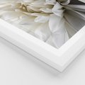 Plakat w ramie 30x40 - Białe Kwiaty Delikatności - białe, kwiaty - rama biała